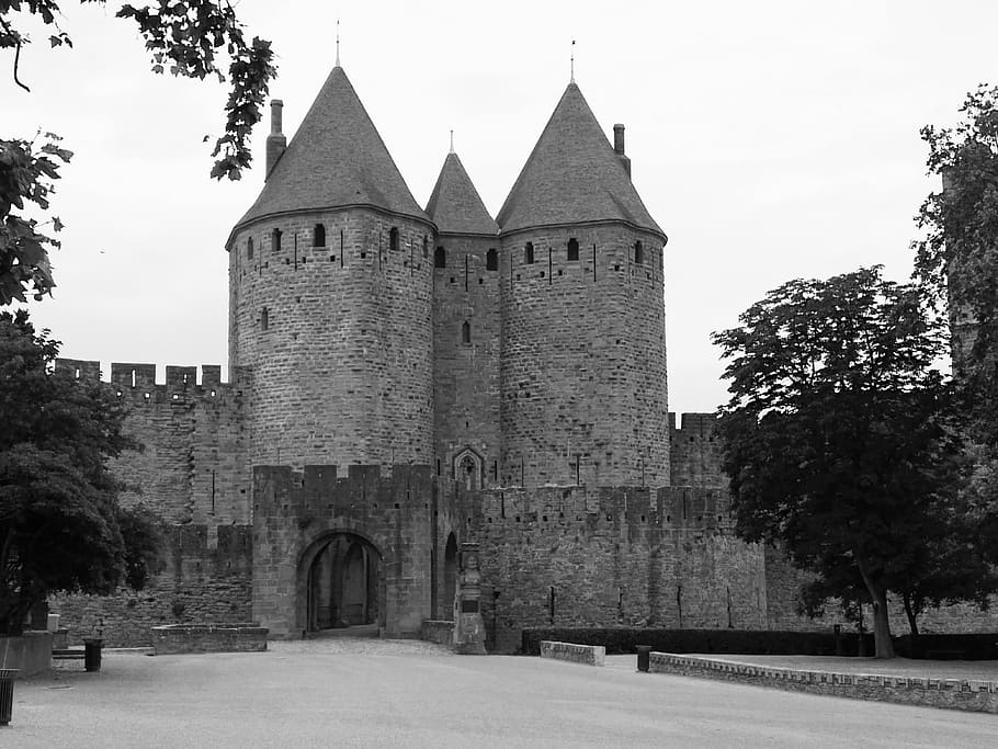 carcassonne, france, medieval city, porte narbonnaise, entry, architecture, built structure, tree, plant, building exterior
