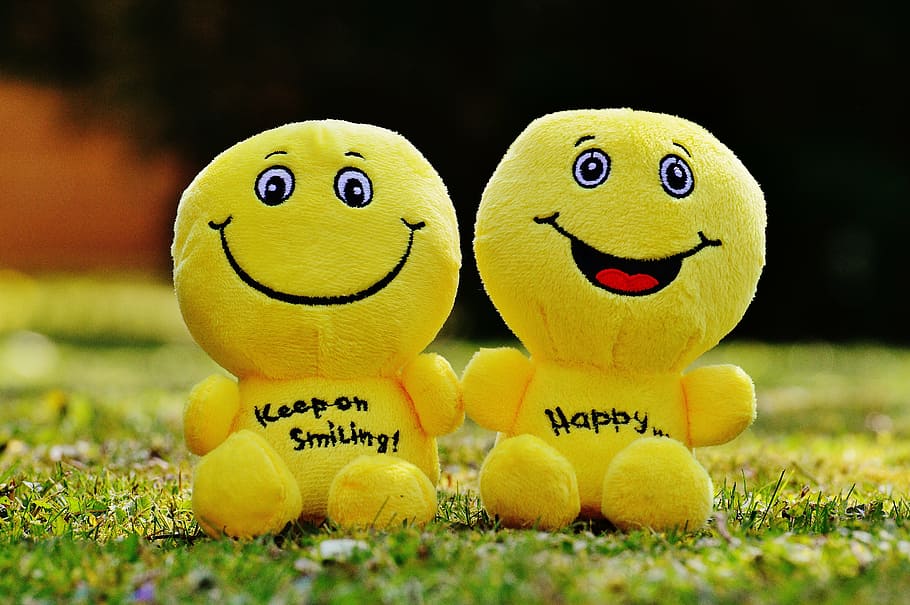 two, yellow, plush, toys, green, grasses, smiley, laugh, funny, emoticon