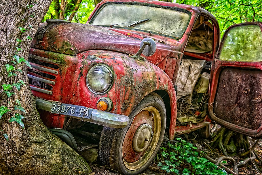 abandoned, red, vehicle, tree, daytime, pkw, accident, destroyed, auto, damaged