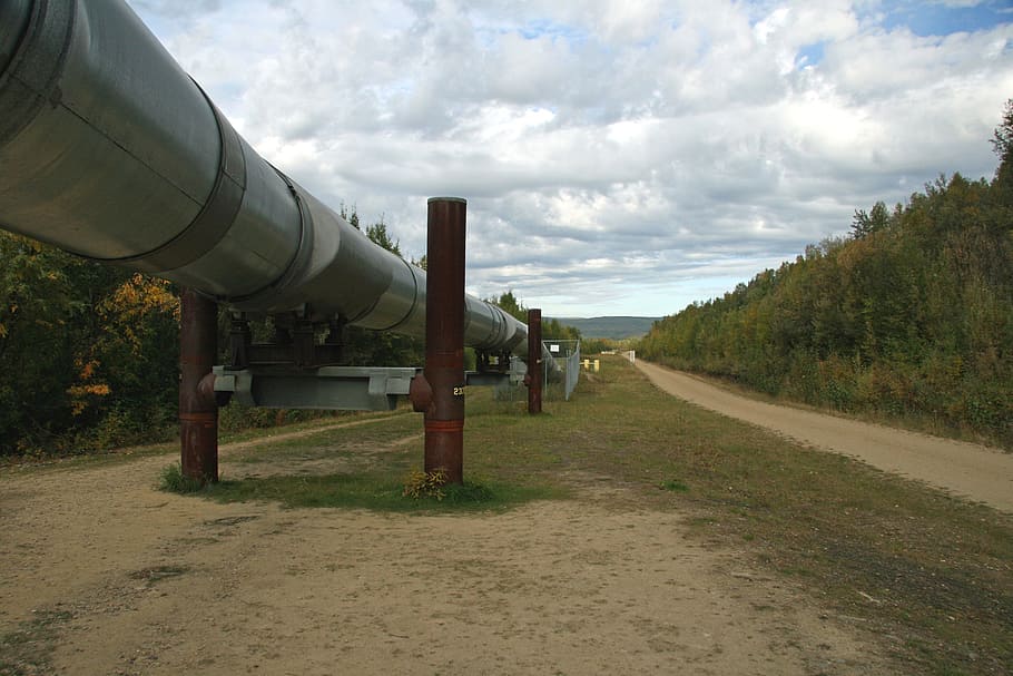 máquina industrial, alaska, tubería de alaska, petróleo, transporte, tubería de gas, naturaleza, estructura, punto de referencia, arquitectura