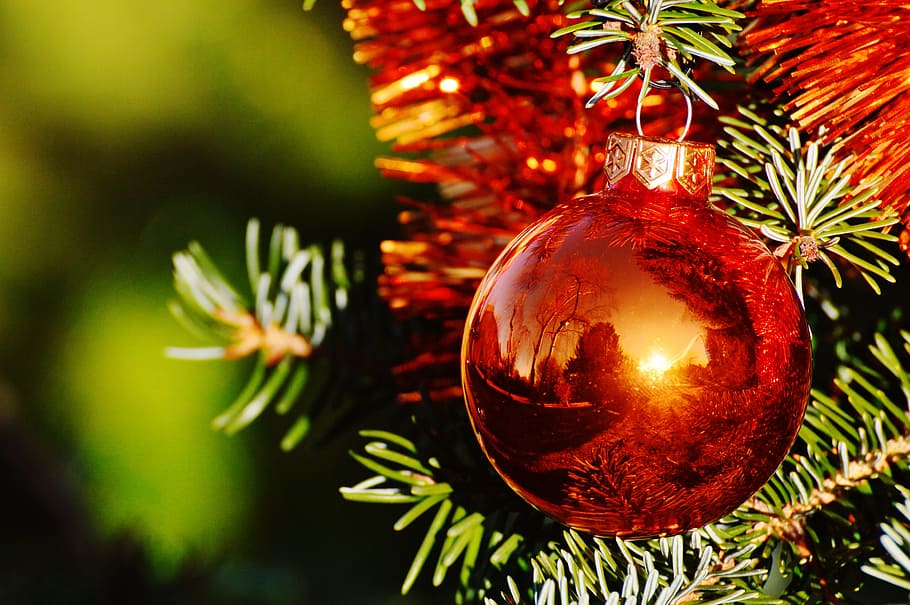 fotografía de primer plano, rojo, adornos, colgantes, verde, pino, navidad, bolas de navidad, christbaumkugeln, deco