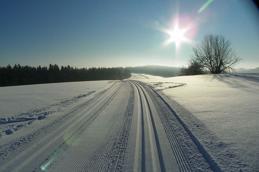 冬, 太陽, 雪, トラック, 風景, 冬の太陽, 日光, 低温, 天気, 屋外