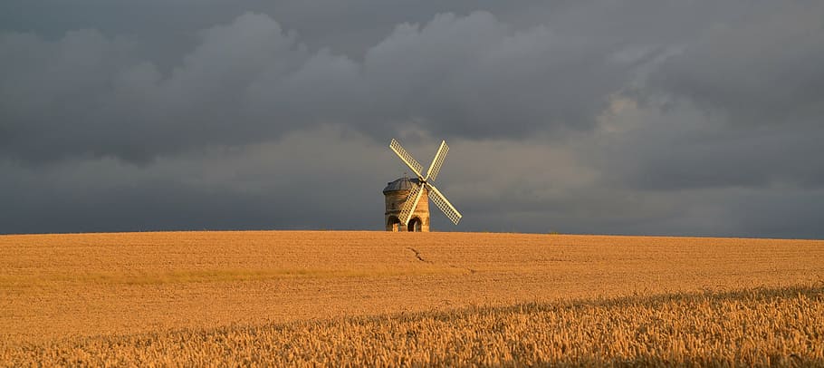 Blanco, molino de viento, campo de hierba, campo, agricultura, escénico, tradicional, Inglaterra, tarde, anochecer