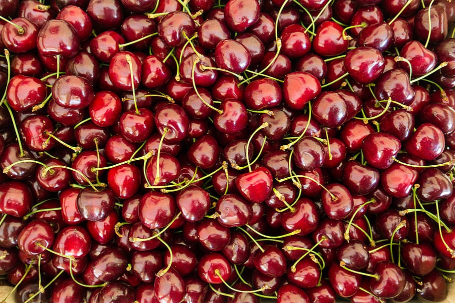 cherry, cherries, fruit, summer, sweet, red, ripe, food, delicious, fresh