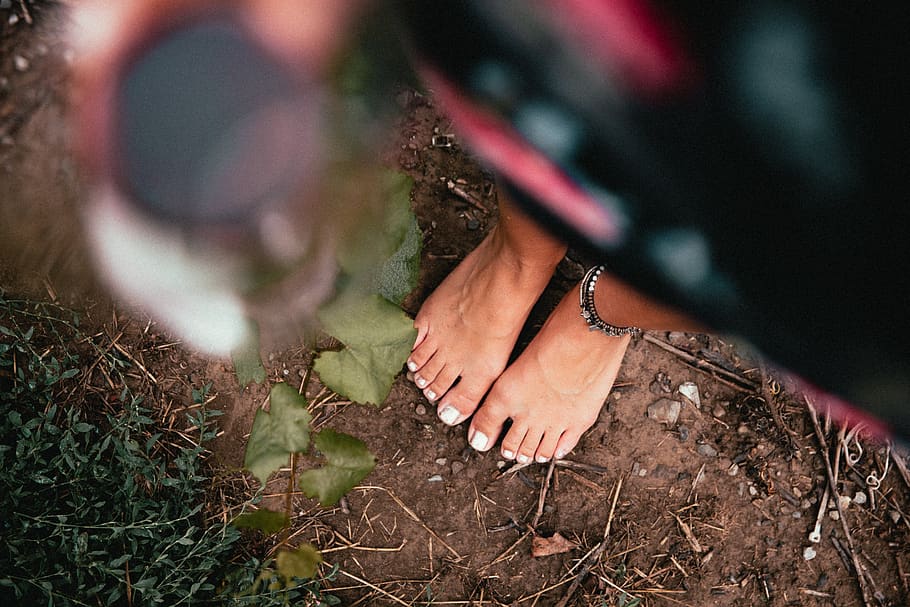 woman, feet, outdoors, wine, vineyard, girl, person, standing, nature, barefoot