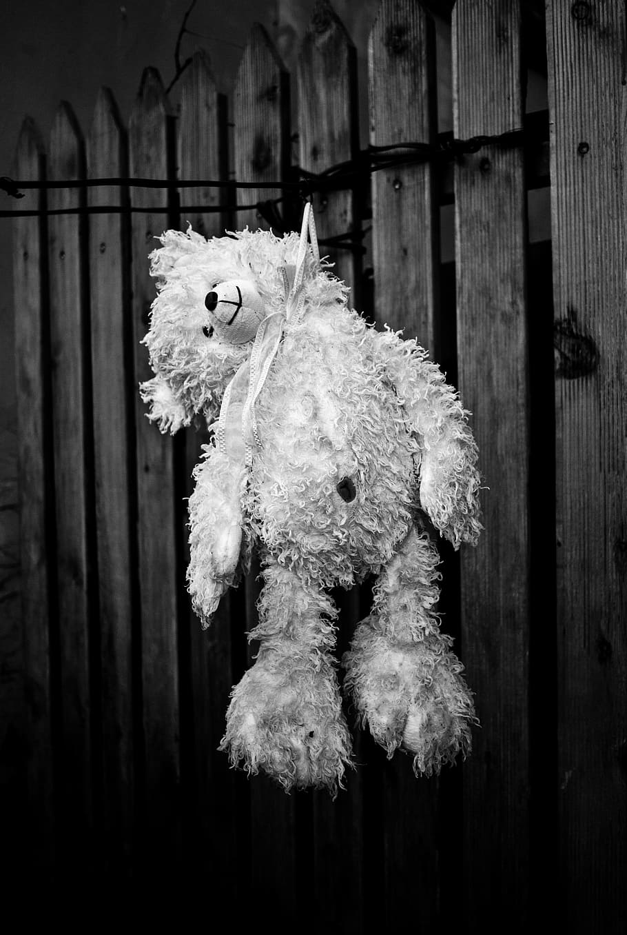 grayscale photo, bear, plush, toy, suicide, bear cub, depressed, black and white, hangman, hang