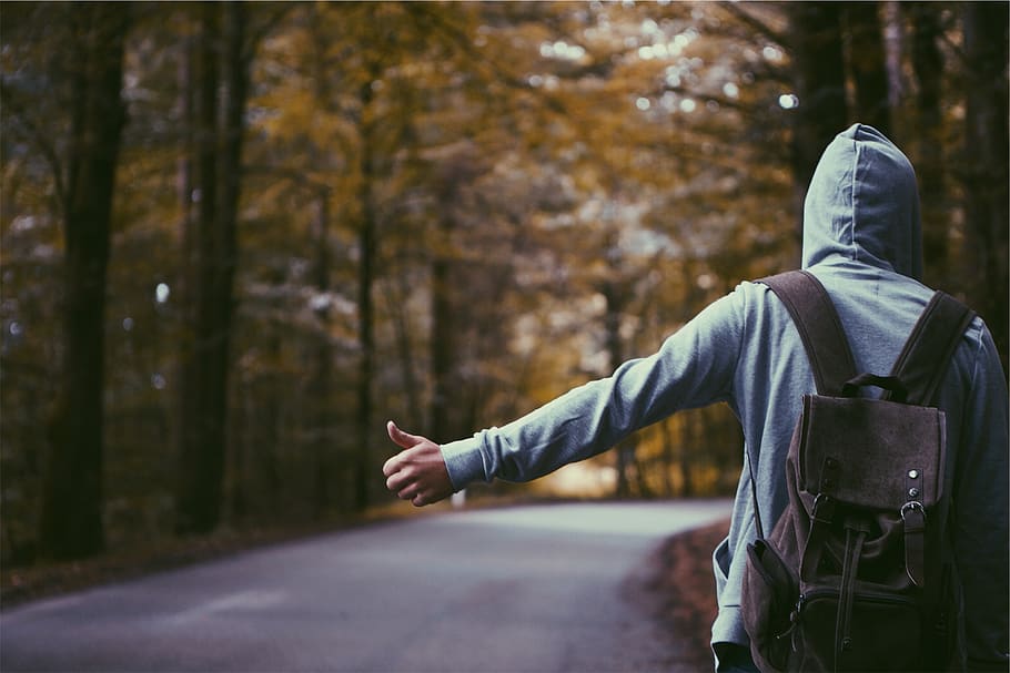 hitchhiker, thumb, hoodie, backpack, knapsack, guy, man, people, road, tree