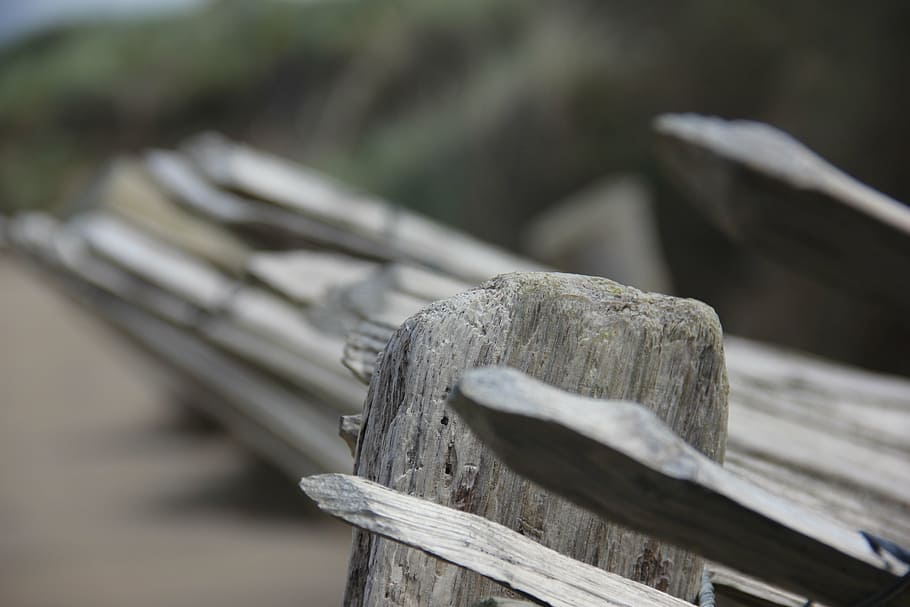 picket, fence, beach, sand beach, ireland, wood - material, focus on foreground, bench, day, nature
