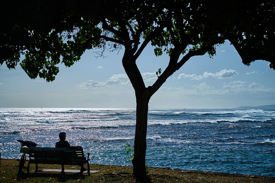 seaside, bench, shade, shadow, under the tree, landscape, sea, sky, water, tree