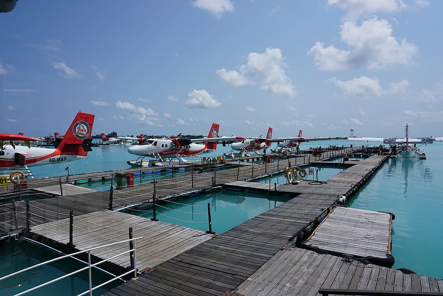 seaplanes, like, taxis, sea, harbor, pier, jetty, transportation, nautical Vessel, commercial Dock