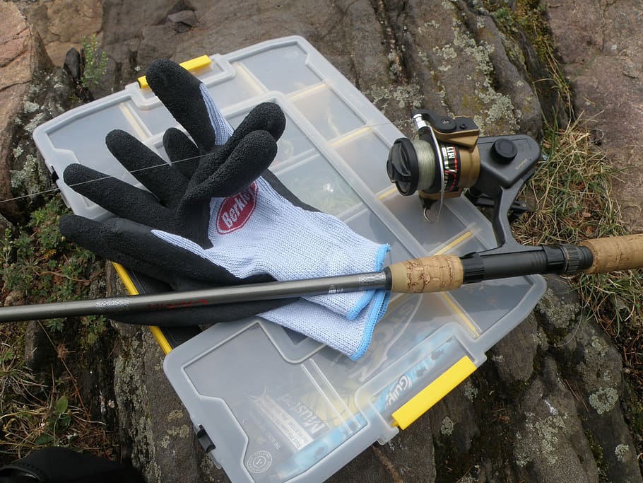 Fishing Rod, Tackle Box, fish, fishing, glove, nature, water, river, sport, rod