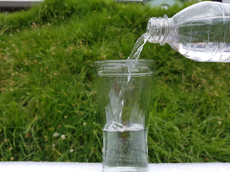 agua, vaso de agua, botella de agua, botella con agua, vidrio, botella, te bendigo, bebe, planta, naturaleza
