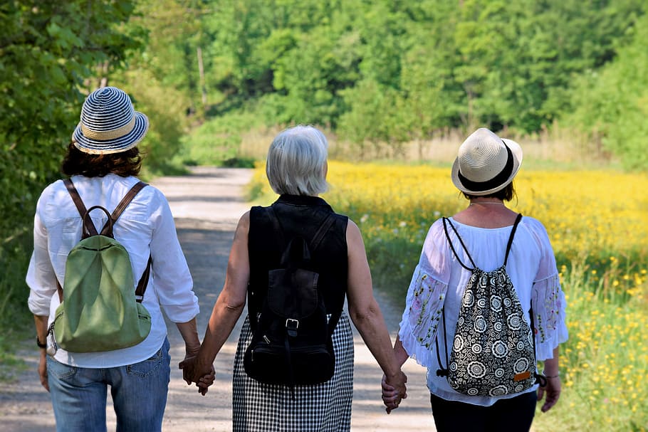 three, women, holding, hands, walking, road, girlfriends, nature, walk, friendship