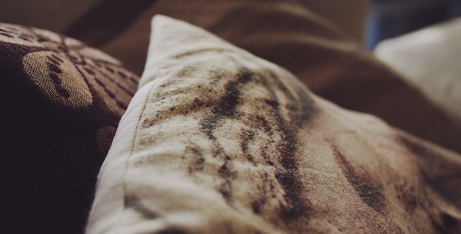 pillows, decor, indoors, close-up, selective focus, textile, furniture, business finance and industry, food, still life