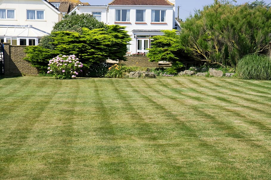freshly, cut, lawn, front, white, brown, house, grass, green, mown