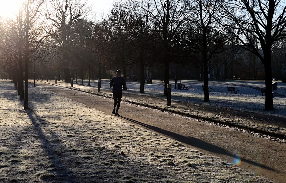 musim dingin, joging, taman, embun beku, menjalankan, matahari, bayangan, cahaya, kesehatan, gerakan