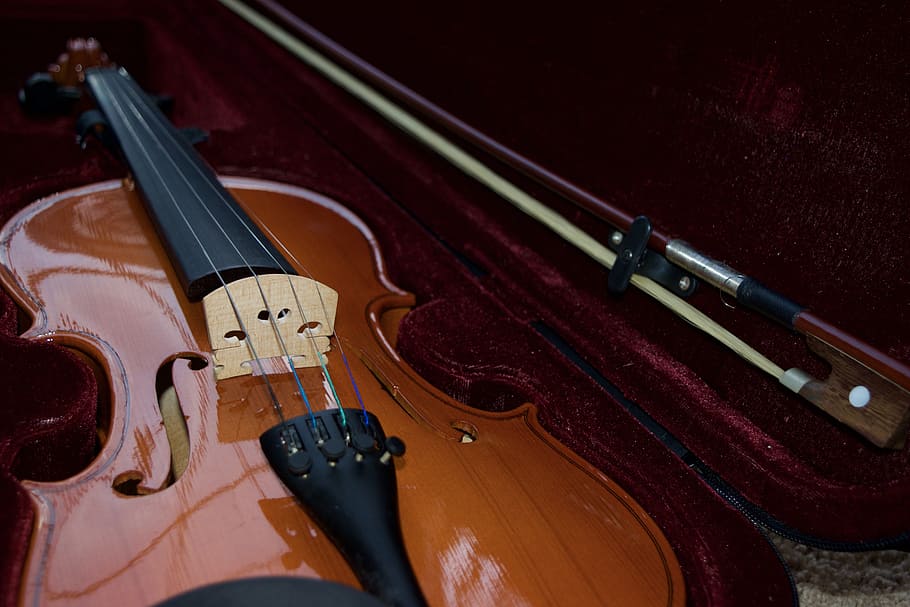 shallow, focus photo, violin, hard, case, velvet, bow, musical, instrument, string