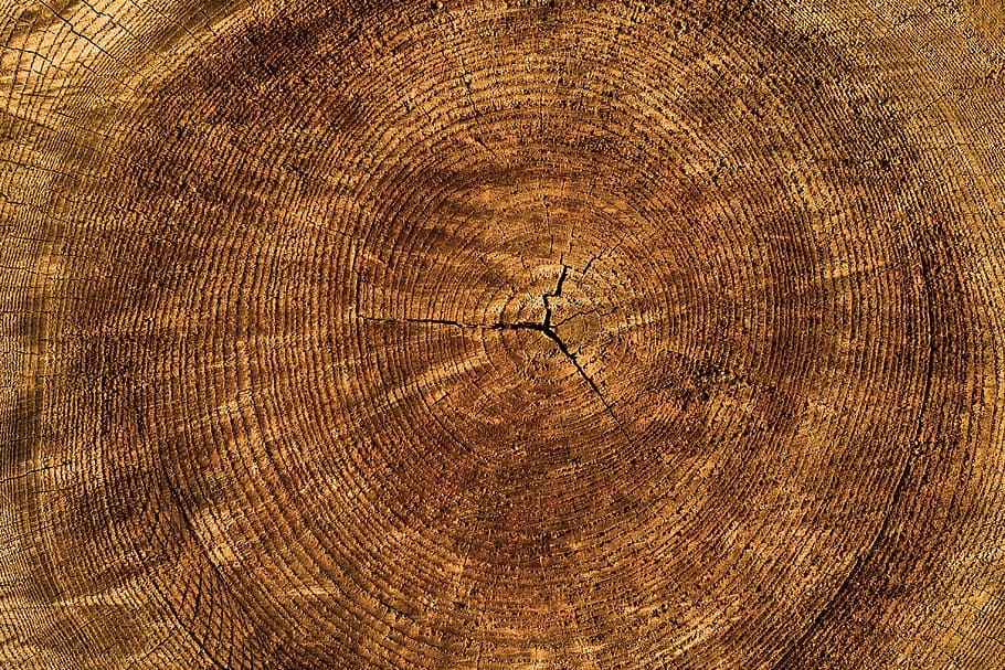 close, brown, wood slab, texture, tree, annual rings, background, structure, nature, wood