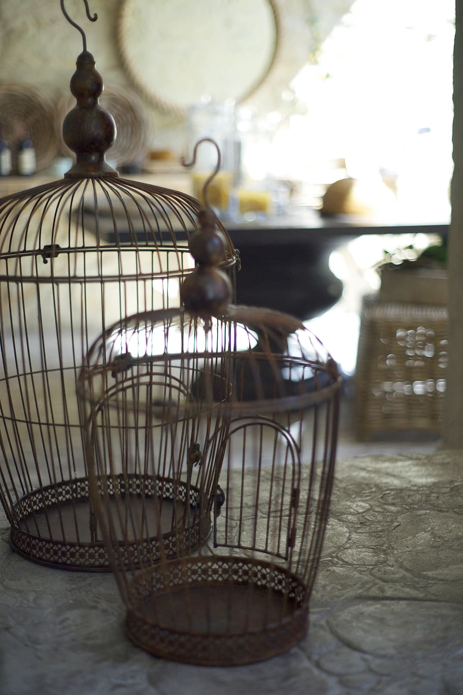 cage, bird, metal, furniture, decoration, decorative, art, dom, design, aesthetics