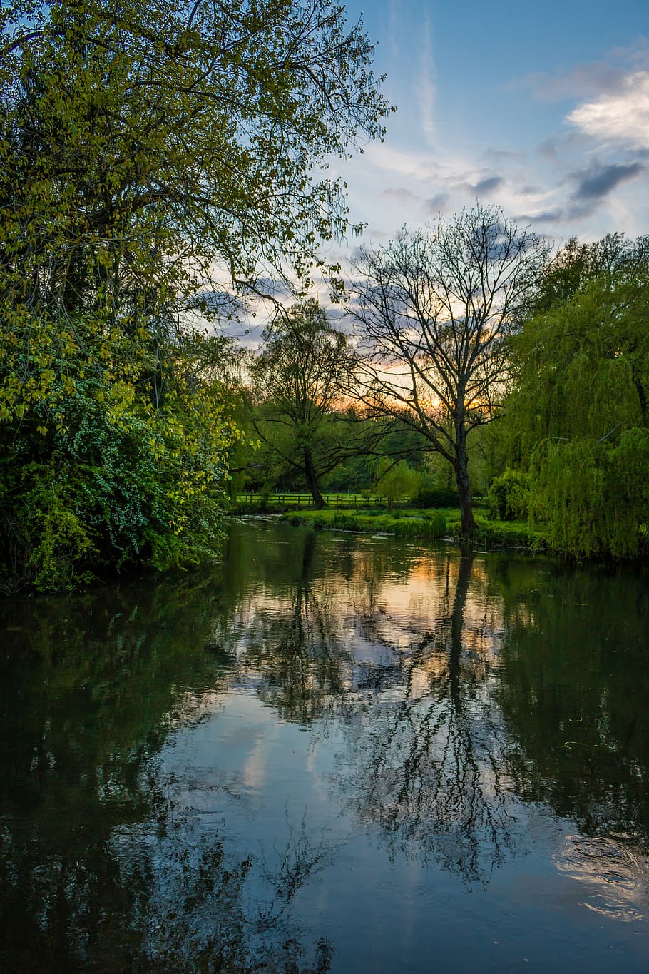 nature, river, green, water, landscape, england, salisbury, reflection, tree, plant
