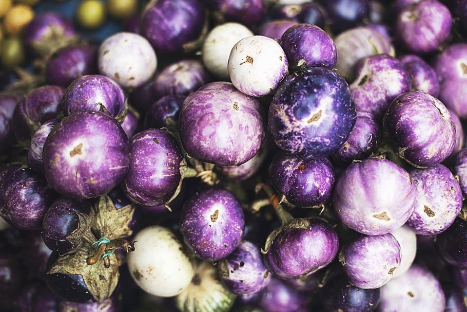 violeta, berenjena, vegetal, granja, planta, comida, púrpura, redondo, Comida y bebida, alimentación saludable