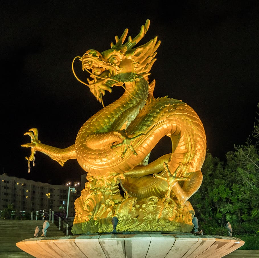 phuket, tailandia, escultura del dragón dorado, iluminado, noche, arte, oro, estatua, cultura, decoración