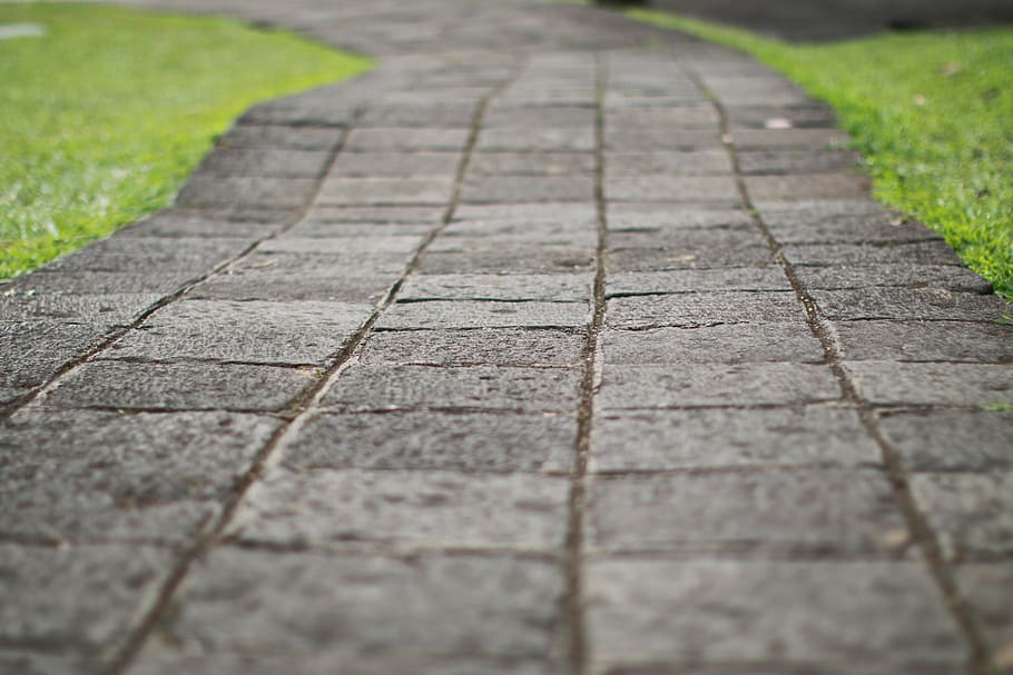 selective, focus photography, gray, concrete, pavement, path, way, road, pathway, journey