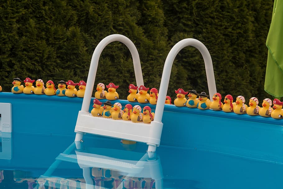 rubber duck toys, ground pool frame, pool, water, swimming pool, refresh, swim, summer, pool duck swim swimming pool, rubber duck