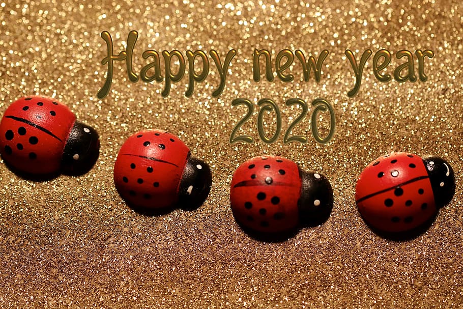 día de año nuevo, víspera de año nuevo, 2020, saludos de año nuevo, cambio de año, suerte, tarjeta de felicitación, amuleto de la suerte, mariquita, no personas