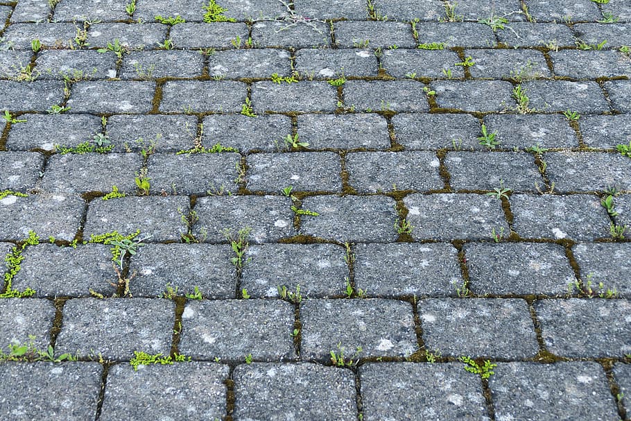 piso de tijolos cinza, remendo, revestimento, pedras de pavimentação, estacionamento, calçada, pavimentada, lajes, plano de fundo, pedra natural