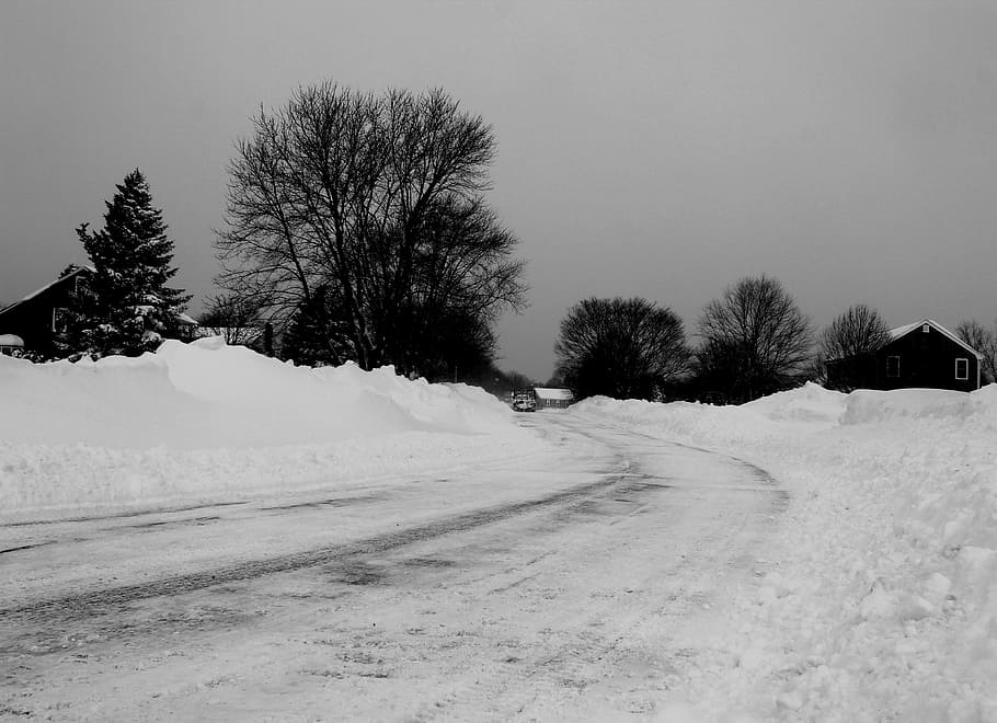road, winter, snow, plowed, snowfall, outdoor, slippery, travel, cold temperature, tree