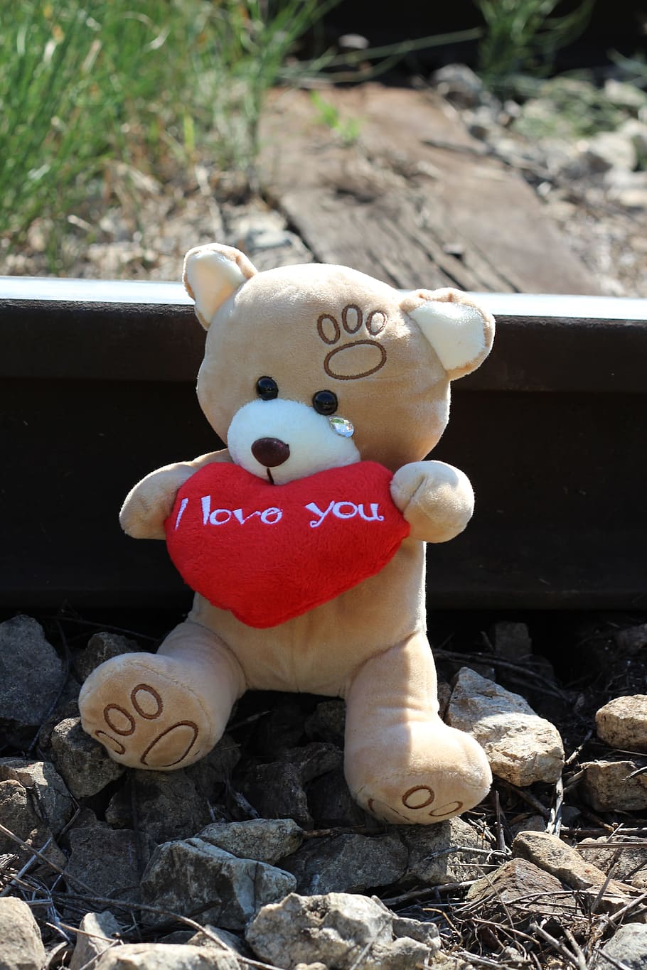 bear, plush, toy, sitting, rock, stop child suicide, teddy bear crying, railway, stop teenager suicide, stop student suicide