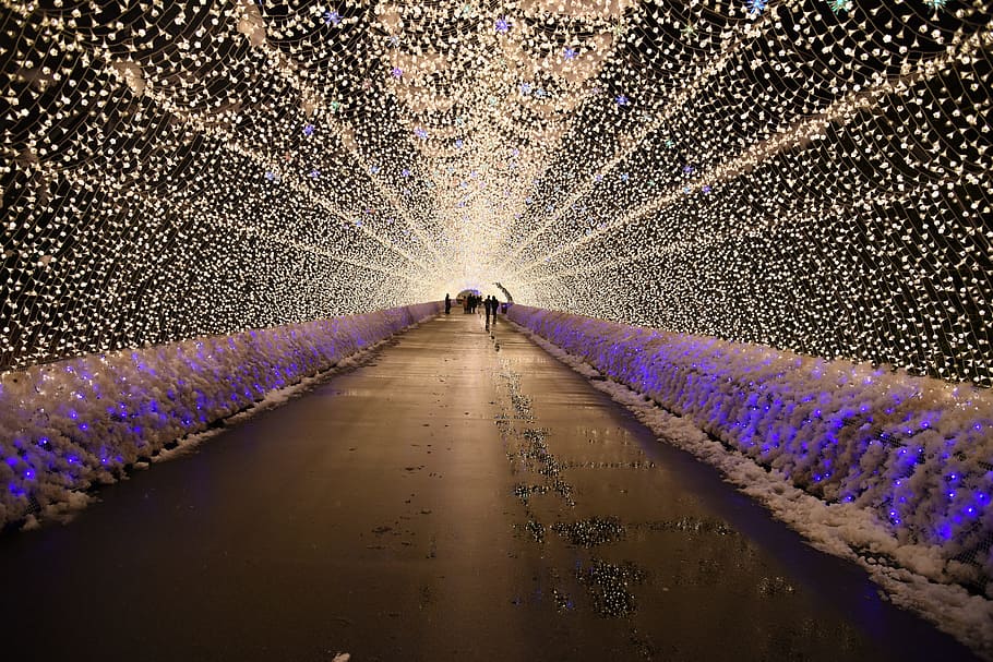 Luz, Festival, Decoración, festival de luz, iluminado, nabana no sato, invierno, nakashima, japón, iluminación