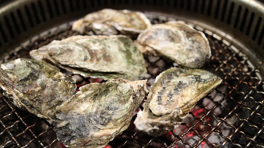 grilled oysters, oyster, shell, clams, dry bay, seafood, sea products, barbecue, food and drink, food