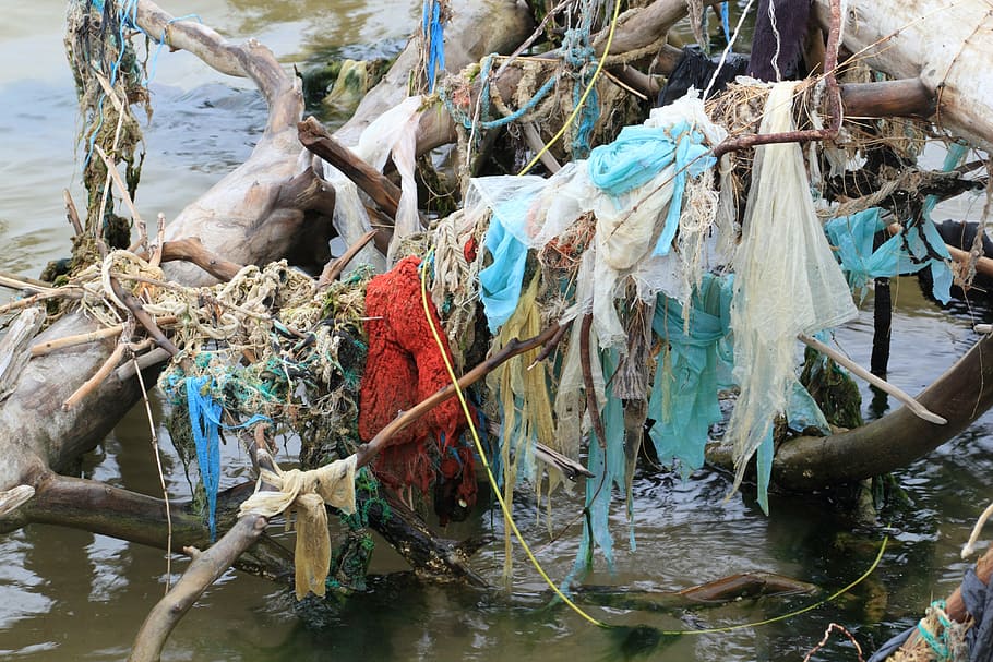 assorted-color plastics, brown, driftwood, latvia, kolka, pollution, beach, sea, water, wood