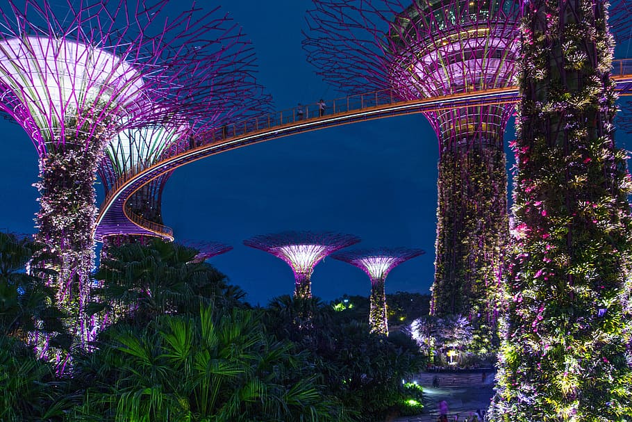 gardens, bay, singapore, night, architecture, asia, building, skyscraper, city, lighting