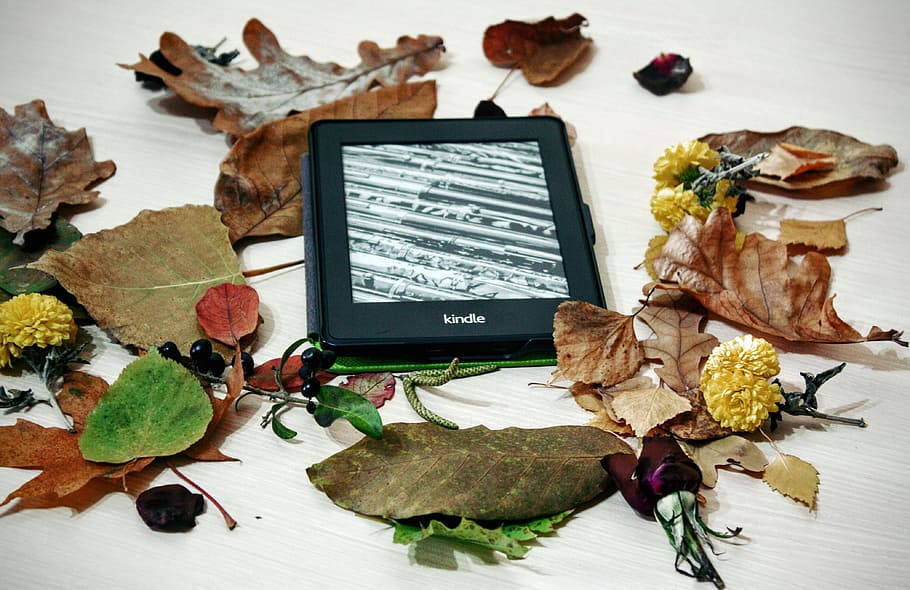 black, kindle, e-book reader, assorted, leaf lot, pepper white, reading, technology, digital, electronic
