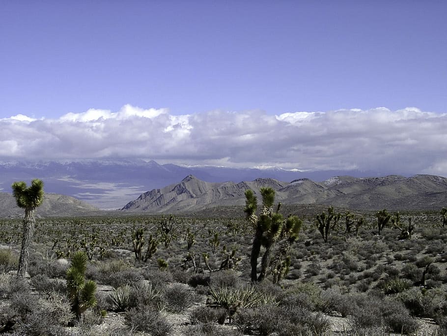 las vegas desert landscape, Las Vegas, Desert, Landscape, Nevada, clouds, landscapes, public domain, sky, United States