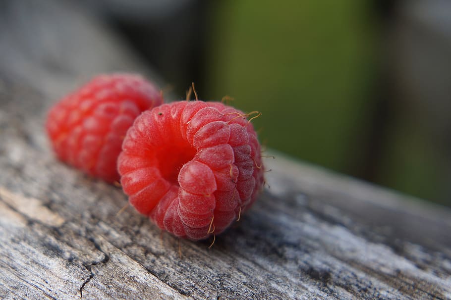 raspberry, buah, merah, musim panas, buah merah, di dekatnya, makan sehat, makanan dan minuman, makanan, merapatkan