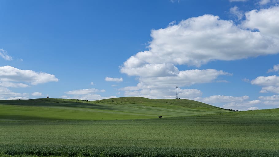 prairie, blue sky, white cloud, grassland, inner mongolia, wallpaper, natural, beautiful, scenery, travel