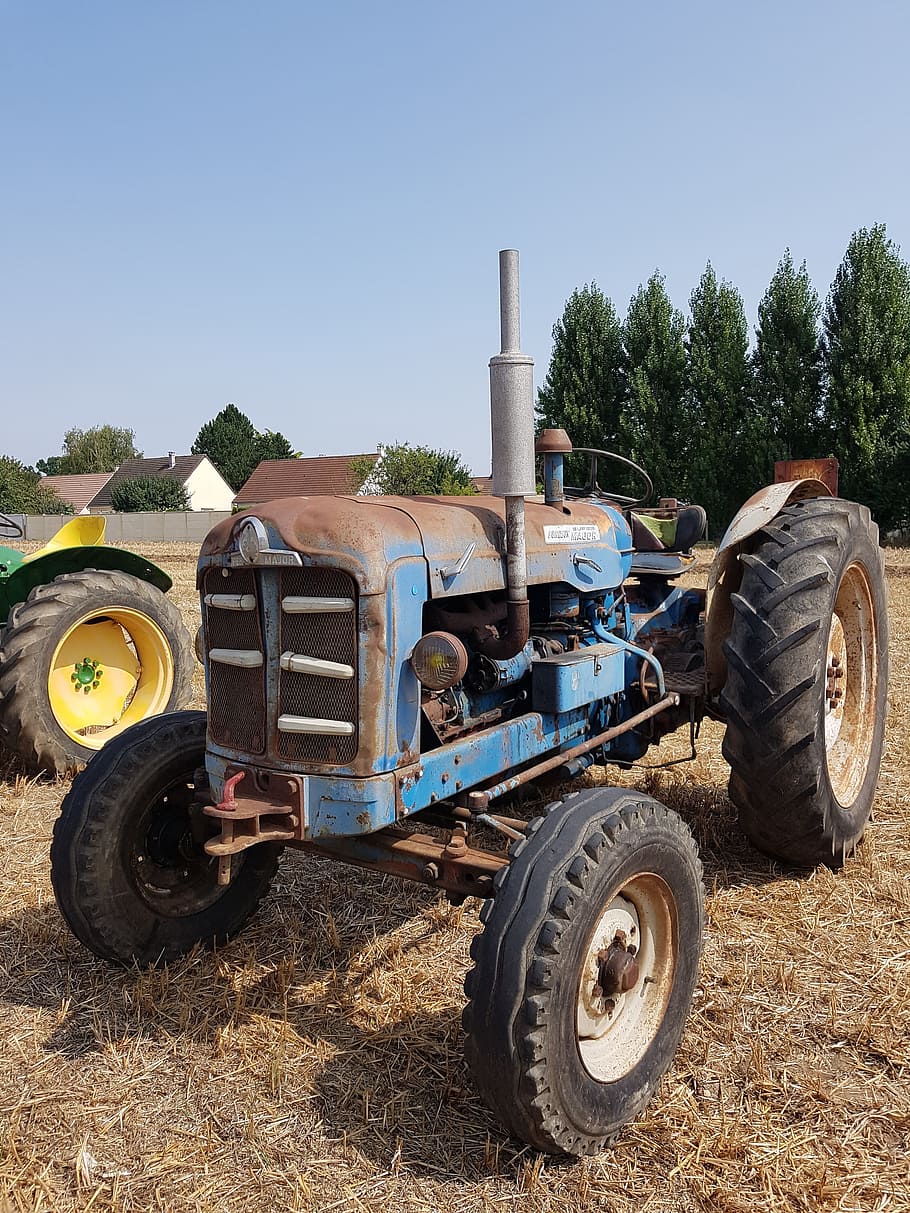 tractor, tractor viejo, máquina agrícola, trabajo, rural, cosecha, retro, breval, agricultura, modo de transporte