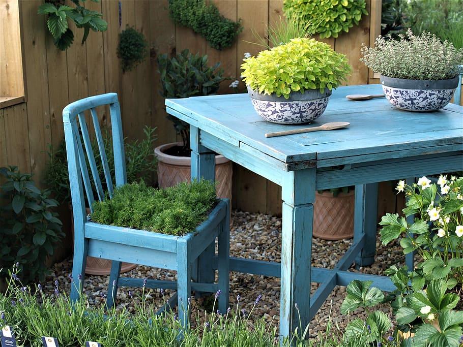 mesa, silla, plantas, jardin, planta, crecimiento, planta en maceta, asiento, patio delantero o trasero, naturaleza