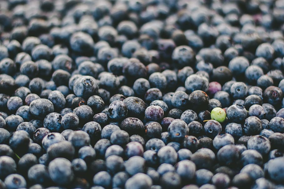 closeup, foto, biru, berry, buah, bulat, blueberry, hijau, violet, makanan