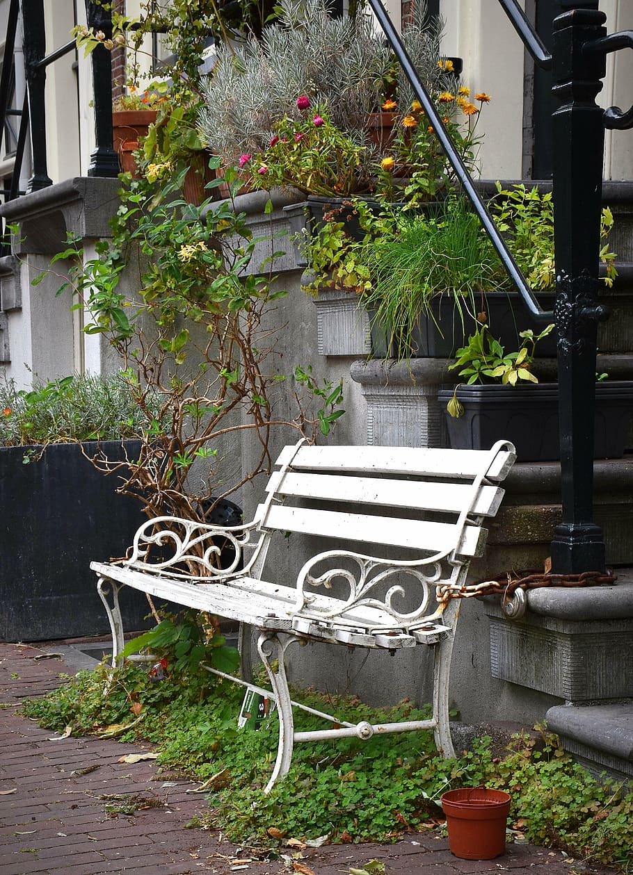 bank, bench, break, amsterdam, sit, rest, flowers, floral decorations, stairs, backed up