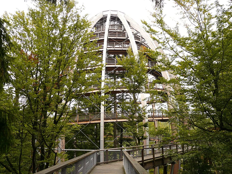 treetop path, web, boardwalk, construction, observation tower, platform, spiral, swirl, upward, tree trail
