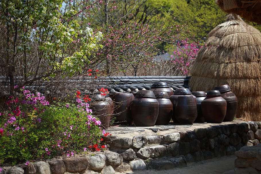 clay jars, brick platform, flowers, haystack, chapter dogdae, republic of korea, rural landscape, traditional, chapter reading, storage
