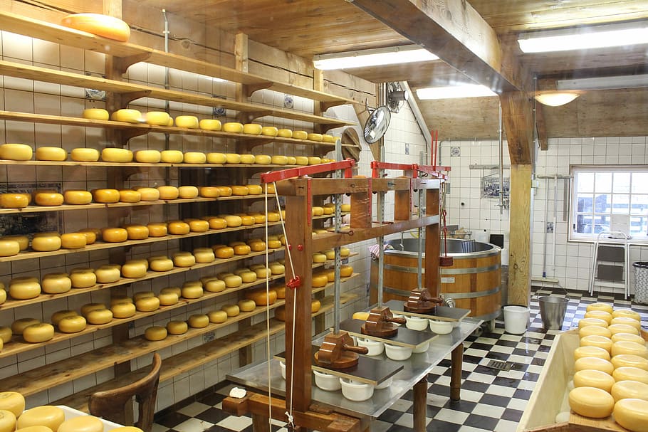 Cheese, Dairy, Production, cheese dairy, cheese production, cheeses, food and drink, indoors, large group of objects, bakery