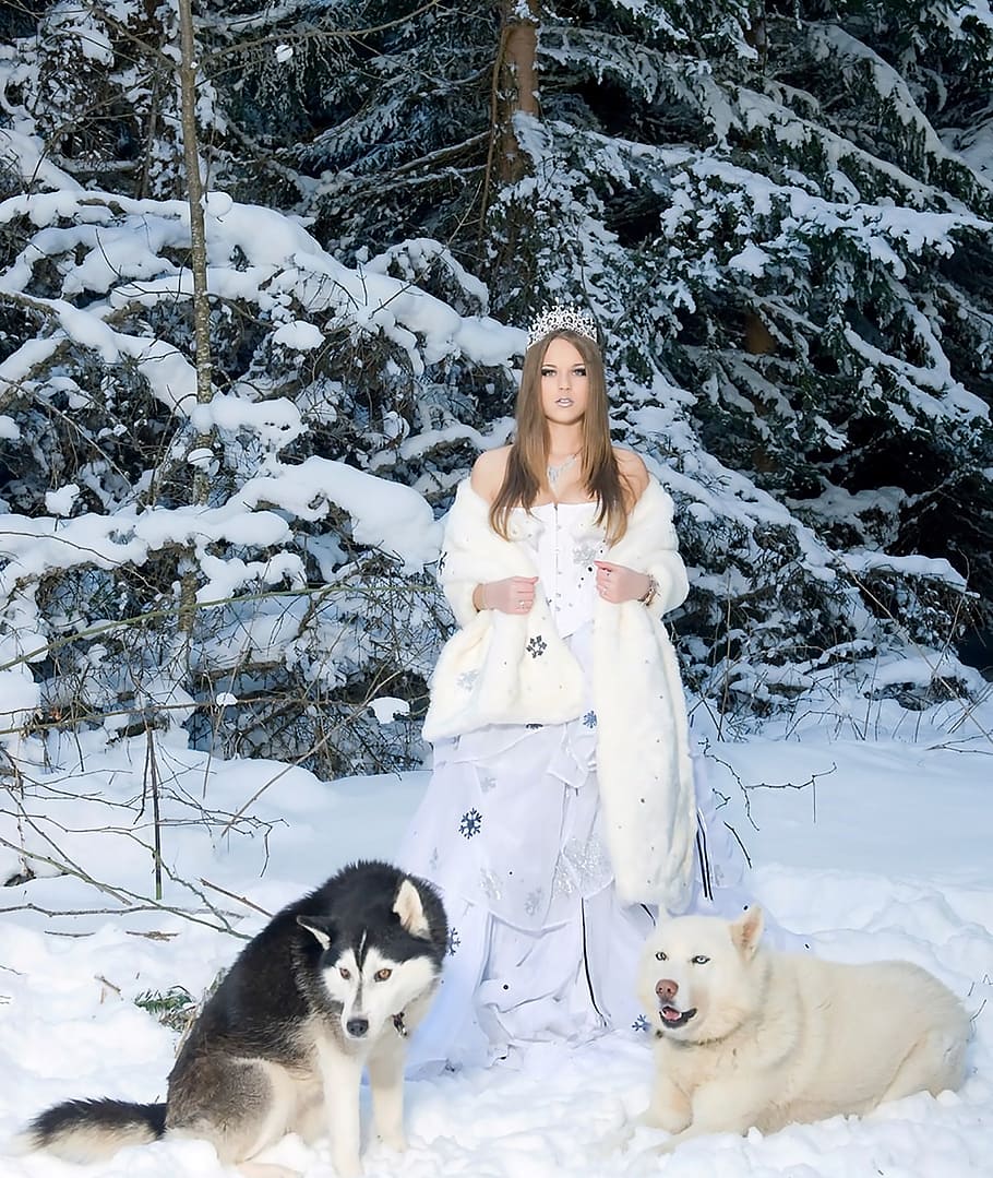 wanita, mengenakan, putih, gaun, mantel, berdiri, dua, serigala, musim dingin, anjing