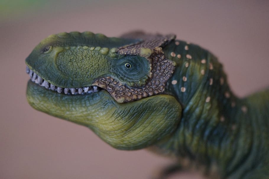 estatuilla verde de t-rex, dino, dinosaurio, tiranosaurio rex, réplica, juguetes, niños, tiempos prehistóricos, t rex, peligroso