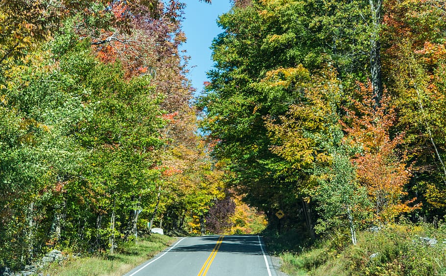 Country Road, New England, Vermont, dedaunan, gugur, musim gugur, alam, lanskap, negara, indah